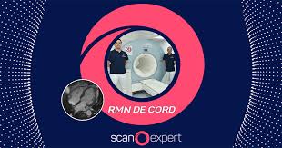 Cas, dar a fost gratuit cu trimitere de la un medic specialist. Investigatii Cardiace De Inalta Calitate Rmn Cord Disponibil In Centrele De Imagistica Medicala Scanexpert Brasov È™i IaÈ™i
