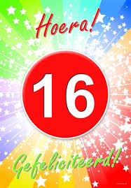 16 Jaar Verjaardag Poster Fun En Feest