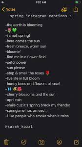Season Instagram Captions Good Insta Captions Instagram Captions Witty Instagram Captions