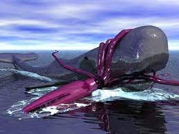The Biggest Squid Of The Planet Scary Ocean Giant Squid Ocean Creatures