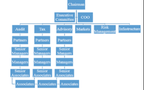 Kpmg Consultancy Firm Business Analysis