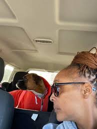 With a day like today... I wish I still had this. Did you ever make snow-  cones? #goodeatsLocal #Nostalgic Good Eats Texas Project #snoopy #snowcone  #ice #travel #goodeatsLocalTravelGuide