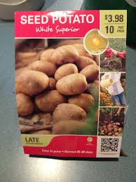 Potatoes are tasty and fun to grow, but they can take up a lot of space in the garden. Grow Potatoes In A 5 Gallon Bucket 8 Steps Instructables