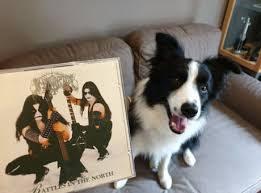 True Black Metal Fan 9gag
