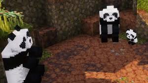 We did not find results for: Minecraft Dungeons First Dlc Is Out Now Rock Paper Shotgun