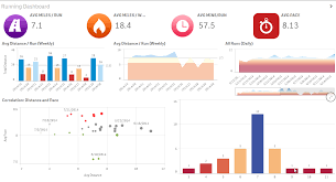 Qlik Community Senses Quantified Self Data Visualization