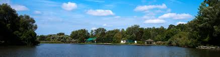 Maybe you would like to learn more about one of these? Waterloo Ontario