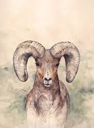 Ram Art Print By Joy Paton Society6 Aries Art Art Aries Tattoo