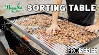 Nut Sorting Table