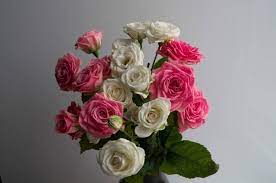 Maybe you would like to learn more about one of these? A Guide To Giving Flowers For The First Time The Florist Guide