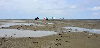 Die tide fällt derzeit in jadebusen. Ebbe Und Flut An Der Nordsee Das Phanomen Der Gezeiten