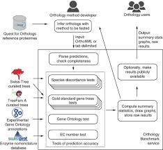 The role of metaphor in constructing meaning within all branches of science and technology Standardized Benchmarking In The Quest For Orthologs Nature Methods