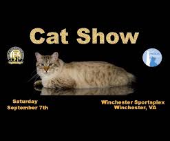 Boris johnson risks a furious backlash from tory mps and the hospitality industry amid. Cat Fanciers Of Washington Cat Show Winchester Frederick County Convention Visitors Bureau
