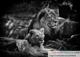Black And White Lion And Lioness Picture Lion 823046 Jpg Buy This As A Digital Image Canvas Print Framed Print Acrylic Print Photo Pr Black And White Lion Animals Lion Hd Wallpaper