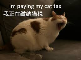 美国网友涌入小红书交“猫税”：话题笔记已超3000篇- cnBeta.COM 移动版(WAP)