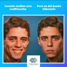 Carlos Yanes Contador Público