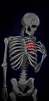 Heart Broken Skeleton Iphone Wallpaper Broken Heart Wallpaper Skull Wallpaper Heart Wallpaper