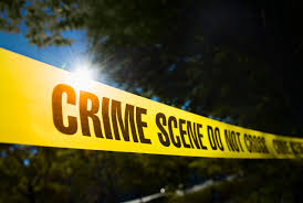 You need a name change card to change your free fire name. A List Of Notorious Male Criminals From A Z