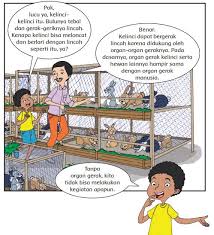 Subtema 1 organ gerak hewan. Kunci Jawaban Buku Tema 1 Kelas 5 Sd Halaman 4 5 6 Subtema 1 Pembelajaran 1 Halo Belajar