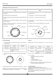 Plant Transport Questions Xylem Phloem Online A Level Biology Tutor In 2020 Biology Plants A Level Biology This Or That Questions