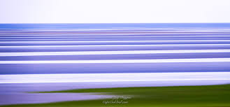 Marcia Joy Duggan Photography