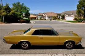 Image result for Tiger Gold 1965 GTO