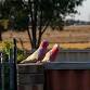Pinjarra Air Quality Campaign – Community... event in Pinjarra WA