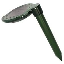 Prices shown on the previously recorded video may not represent the current price. 30 Gardening Pest Control Ideas Pest Control Pests Garden Pest Control
