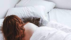 Cats Sleeping In Your Bed A Good Idea