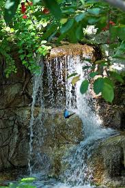 Butterfly Waterfall Art Print By Thomas Woolworth Waterfall Art Waterfall Art Prints