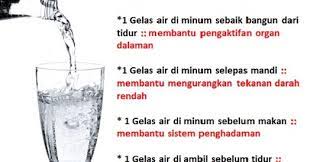Seorang pengguna twitter iaitu umaira haris yang merupakan seorang pengguna tegar air sarang burung telah berkongsi kebaikan jika anda mengambil air ini. My Pkp Neus Kelantan Kelebihan Minum Air Kosong