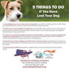 Free of classified pets and designed to make your dating life a personals more enjoyable, stillwater will surely. Lost Dogs Oklahoma Posts Facebook