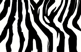 Do It Yourself Tablolar Desenler Zebra