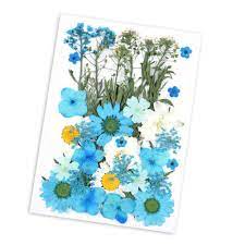 A pair and a spare / via apairandasparediy.com. Valink Dried Pressed Flowers Combination For Resin Art Craft Diy Art Floral Decors Collection Gift Walmart Com Walmart Com