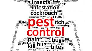 Here are just a few reasons why you would benefit from having a regular pest control schedule. Why Pest Control Is Necessary Kreshco Pest Control