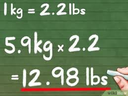 How To Convert Kilograms To Pounds 8 Steps With Pictures
