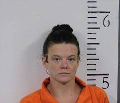 LAMAR COUNTY SHERIFF MEDIA ARREST SUMMARY