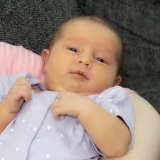 been seeing a few of these lately would be grateful for I.D.