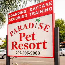 I volunteered at paradise pet resort a typical work day wasn't that productive. Paradise Pet Resort Home Facebook