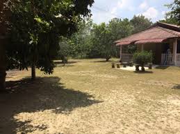 Tidak lengkap sekiranya anda melawat ke rumah terbalik port dickon merupakan sebuah rumah kedai namun telah diubah suai menjadi tarikan pelancong. Agricultural Land Land For Sale Kg Tanjung Nilai