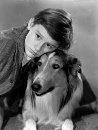 Les enfants célèbres du Cinéma : Roddy McDowall