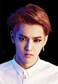 He holds dual citizenship and speaks fluent cantonese, mandarin, english, and korean. Former Exo Member Kris Wu Formally Arrested In China For Alleged Rape
