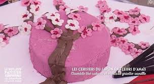 Le Meilleur Patissier Saison 9 Episode 1 Les Aventuriers De La Tente Perdue Odelices Découvrez comment vous former au métier de pâtissier :