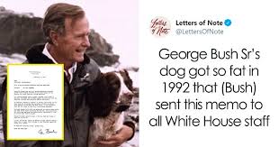 Dogs do not have to be in a post as long as the meme relates to them. George Bush Sr Once Wrote This Funny Memo To The White House Staff Regarding His Fat Dog Ranger Bored Panda