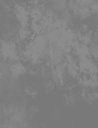 THE ONE HUNDRED AND THIRTEENTH SUMMER COMMENCEMENT