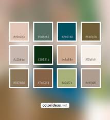 Find a perfect color palette for your next project. Akaroa Pink Silk Silver Color Palette Color Palette Ideas