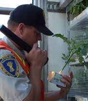 If you are an existing user, click on the access vacancies button, fill out your credentials and click on log in. Cdfa Plant Health Pest Exclusion