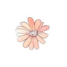 Timbllr Flourishe This Is So Cute Queued Liked On Polyvore Tumblr Flower Flower Prints Art Daisy Chain Tattoo