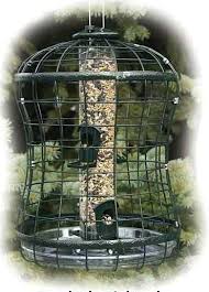 Caged Bird Feeders For Small Birds Uk Caged Squirrel Proof Birdfeeder W Tray By Woodlink Squirrel Proof Bird Feeders Bird Feeders Feeder