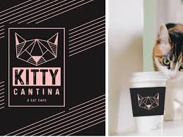 Drinking lattes and rocking the coffee industry. Purr Fect Couple Aims To Open First Cat Cafe In Spokane The Spokesman Review